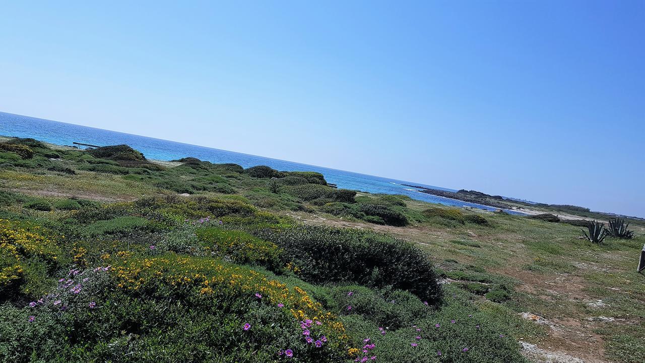 Punta Prosciutto Gma Tourism Villa Porto Cesareo Bagian luar foto